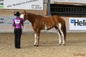 22-APHA HOTC_035